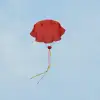 1. Children's parachute 25/ medium pack: One box contains 500 pieces. (Box size: 47.5X47.5X23CM) 5 colors: red, green, yellow, rose red, blue, single Specification image